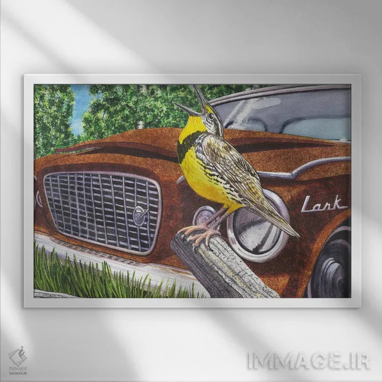 تابلو چکاوکهای علفزار اثر کترین جی مکالروی - نمای قابدار سفید