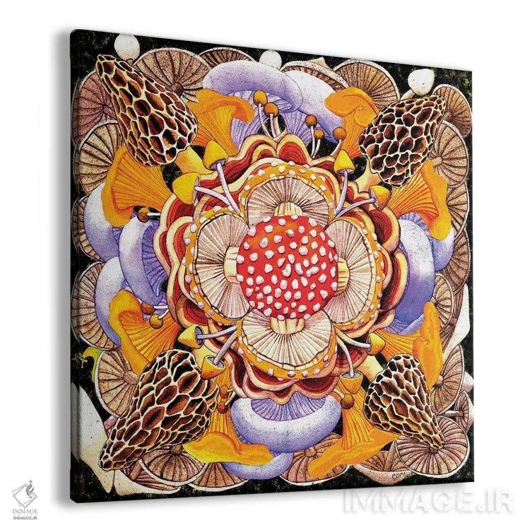 تابلو مندالای قارچی اثر کترین جی مکالروی - نمای پرسپکتیو محصول