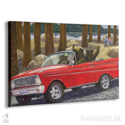 تابلو گشت و گذار سرگرمکننده اثر کترین جی مکالروی - نمای پرسپکتیو محصول