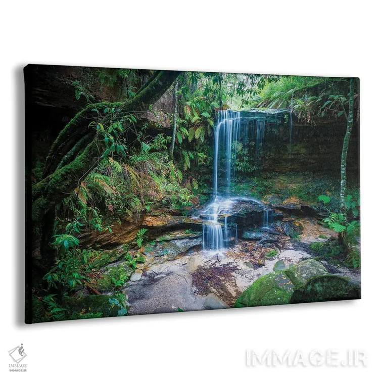 تابلو آبشار برگس، کوههای آبی، استرالیا اثر کامرون گری - نمای پرسپکتیو محصول