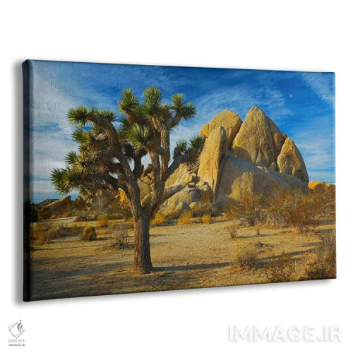 تابلو درخت جاشوا و اینسلبرگ، پارک ملی جاشوا تری، کالیفرنیا، آمریکا اثر چارلز گرچ - نمای پرسپکتیو محصول