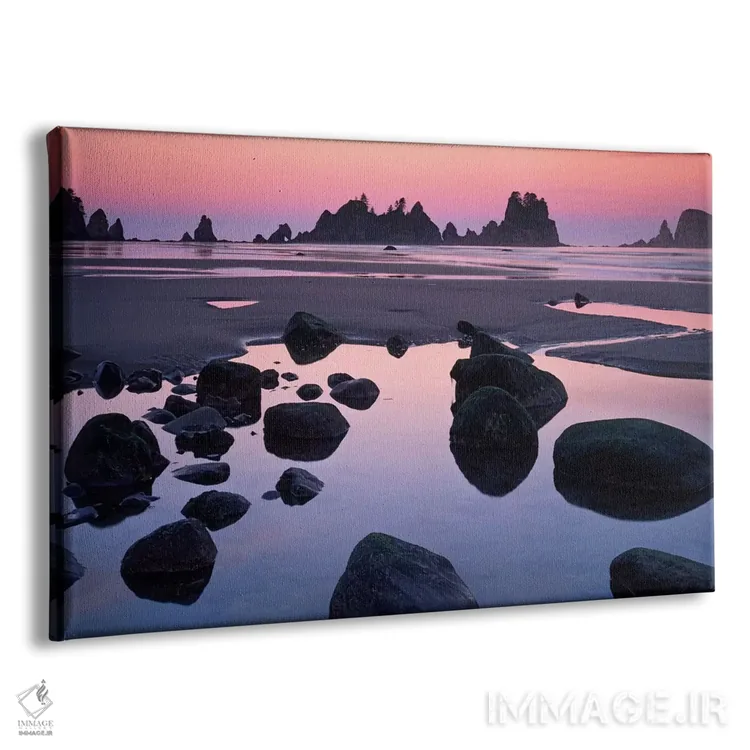 تابلو نقطه قوسها، ساحل شیشی، جنگل ملی المپیک، واشنگتن، آمریکا اثر چارلز گرچ - نمای پرسپکتیو محصول