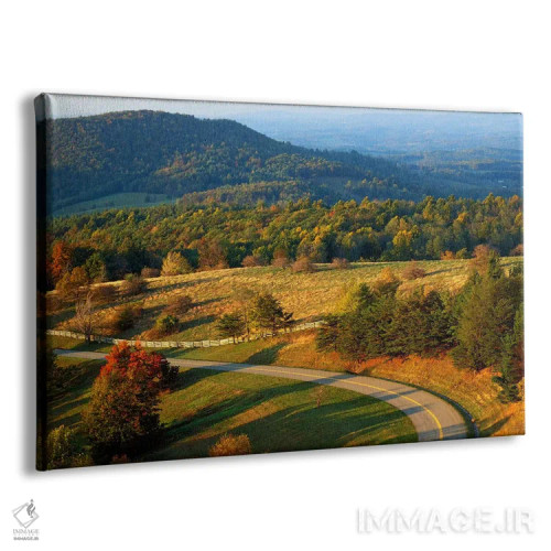 تابلو منظره کوهستانی ۱، بلو ریج پارکوی، شهرستان پاتریک، ویرجینیا، آمریکا اثر چارلز گرچ - نمای پرسپکتیو محصول