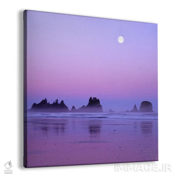 تابلو ماه کامل در غروب، نقطه قوسها، ساحل شیشی، پارک ملی المپیک، واشنگتن، آمریکا اثر چارلز گرچ - نمای پرسپکتیو محصول