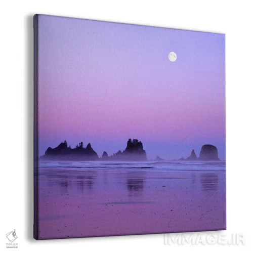 تابلو ماه کامل در غروب، نقطه قوسها، ساحل شیشی، پارک ملی المپیک، واشنگتن، آمریکا اثر چارلز گرچ - نمای پرسپکتیو محصول