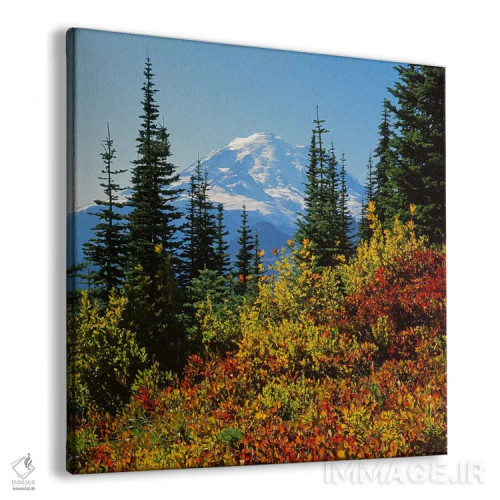 تابلو کوه رینییر با منظره پاییزی در پیشزمینه، پارک ملی مانت رینییر، واشنگتن، آمریکا اثر چارلز گرچ - نمای پرسپکتیو محصول