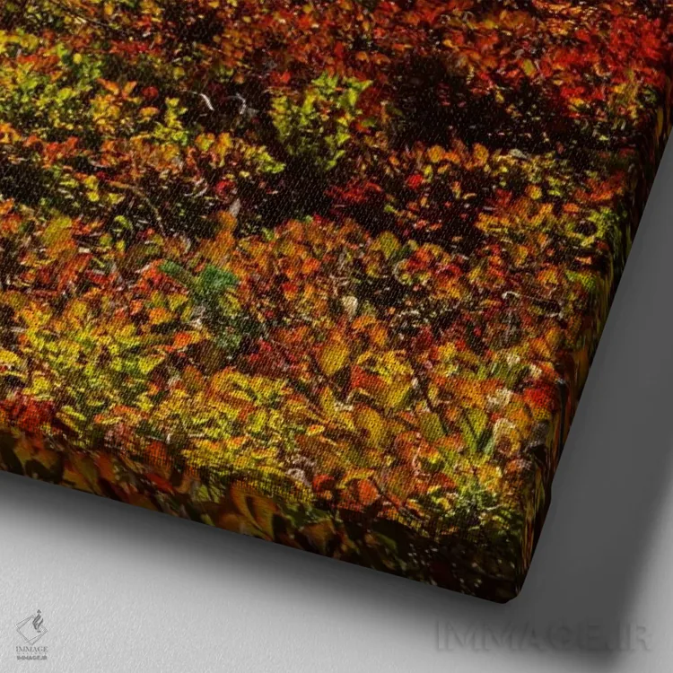 تابلو کوه رینییر با منظره پاییزی در پیشزمینه، پارک ملی مانت رینییر، واشنگتن، آمریکا اثر چارلز گرچ - نمای نزدیک بافت بوم