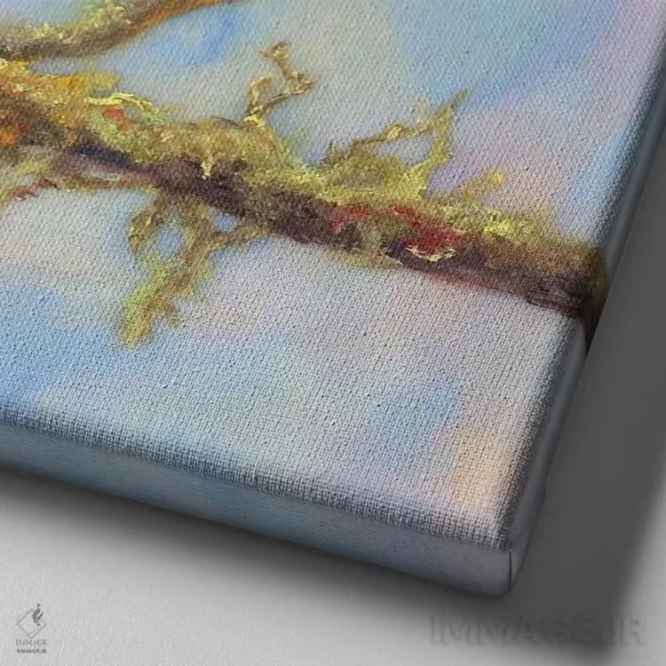 تابلو درخت عرعر (جونیپر) اثر کری گولر - نمای نزدیک بافت بوم