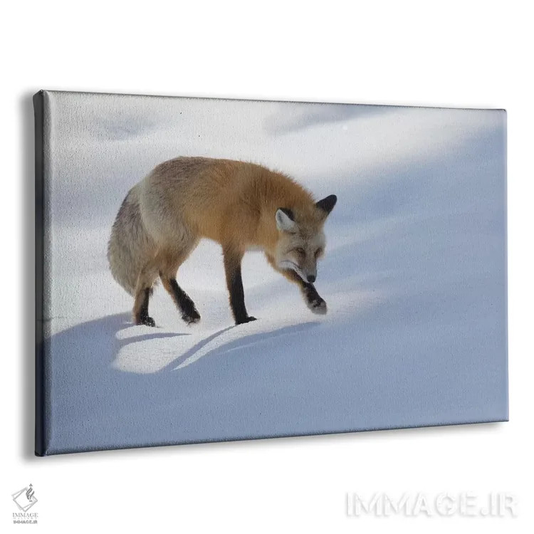 تابلو شکار روباه سرخ در زمستان اثر کن آرچر - نمای پرسپکتیو محصول