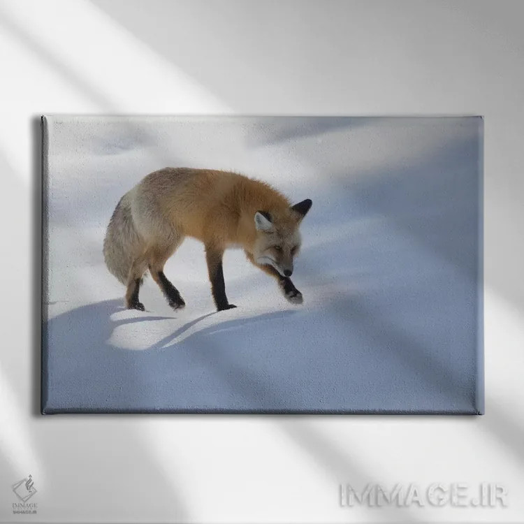 تابلو شکار روباه سرخ در زمستان اثر کن آرچر - نمای روبهرو روی دیوار