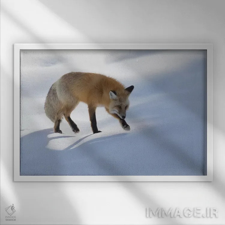 تابلو شکار روباه سرخ در زمستان اثر کن آرچر - نمای قابدار سفید