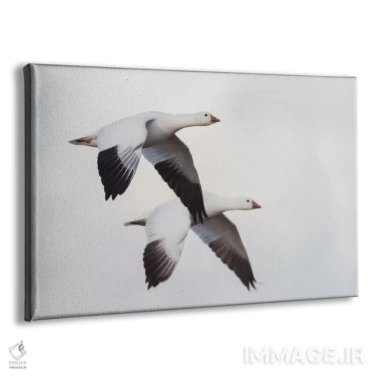 تابلو غازهای راس اثر کن آرچر - نمای پرسپکتیو محصول