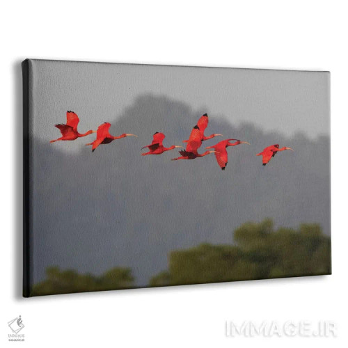 تابلو گروه ایبیس سرخ اثر کن آرچر - نمای پرسپکتیو محصول