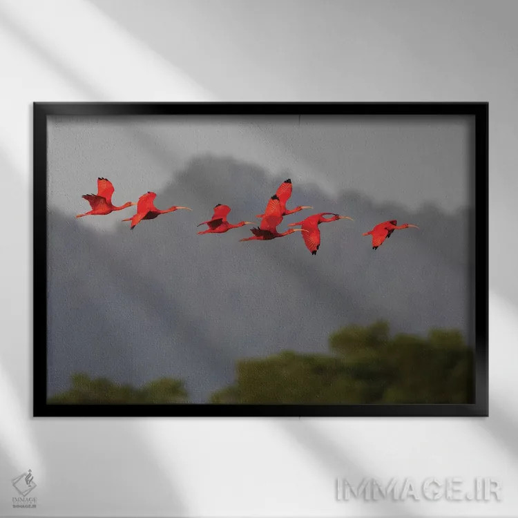 تابلو گروه ایبیس سرخ اثر کن آرچر - نمای قابدار مشکی