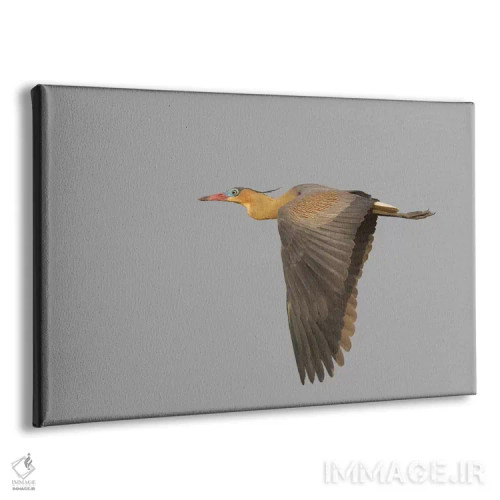 تابلو پرواز حواصیل سوتزن اثر کن آرچر - نمای پرسپکتیو محصول