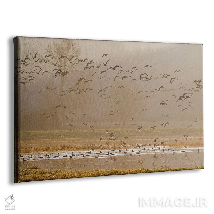 تابلو تالابها در طلوع خورشید اثر کن آرچر - نمای پرسپکتیو محصول