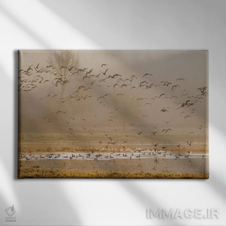 تابلو تالابها در طلوع خورشید اثر کن آرچر - نمای روبهرو روی دیوار