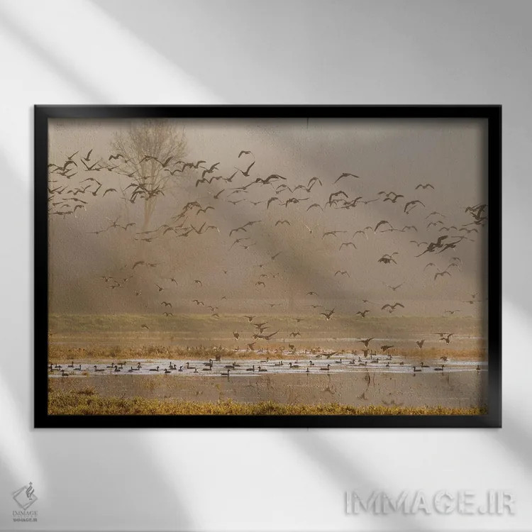 تابلو تالابها در طلوع خورشید اثر کن آرچر - نمای قابدار مشکی