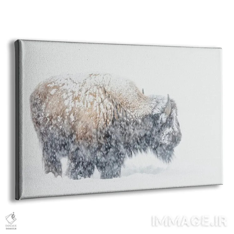 تابلو Winter Storm,گاومیش کوهاندار آمریکایی، طوفان زمستانی اثر کن آرچر - نمای پرسپکتیو محصول