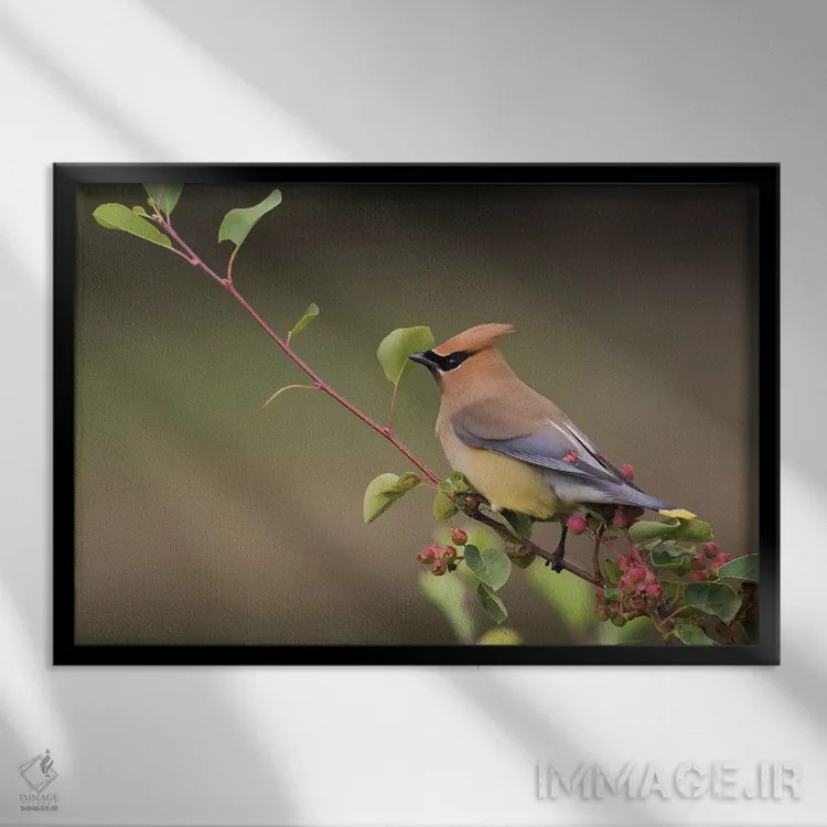 تابلو سدار وکسوینگ روی بوته زغالاخته اثر کن آرچر - نمای قابدار مشکی