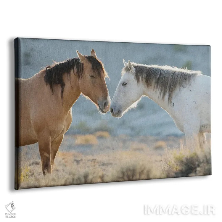 تابلو اسپهای وحشی بیابان سندواش بینی به بینی اثر کن آرچر - نمای پرسپکتیو محصول