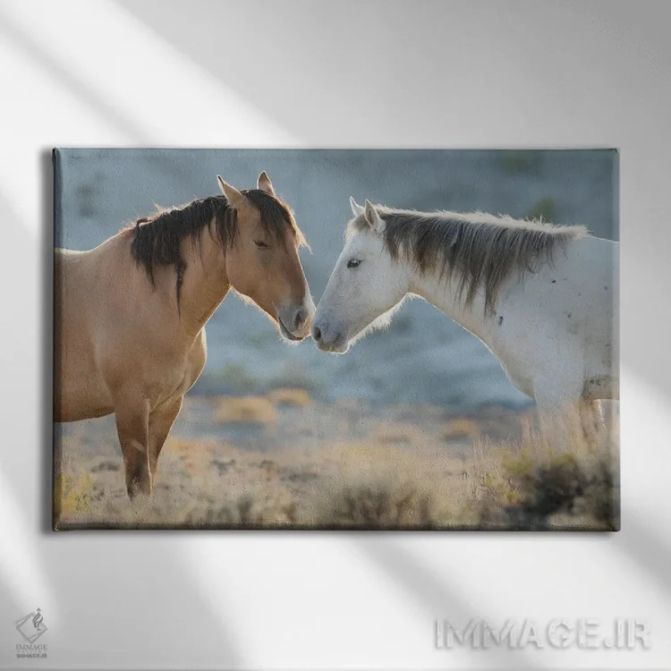 تابلو اسپهای وحشی بیابان سندواش بینی به بینی اثر کن آرچر - نمای روبهرو روی دیوار