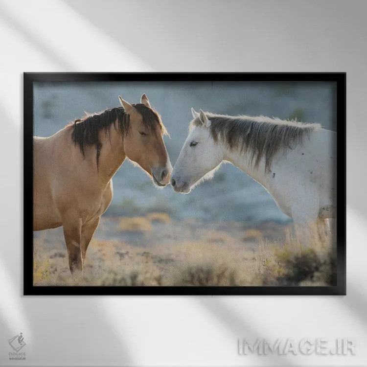 تابلو اسپهای وحشی بیابان سندواش بینی به بینی اثر کن آرچر - نمای قابدار مشکی