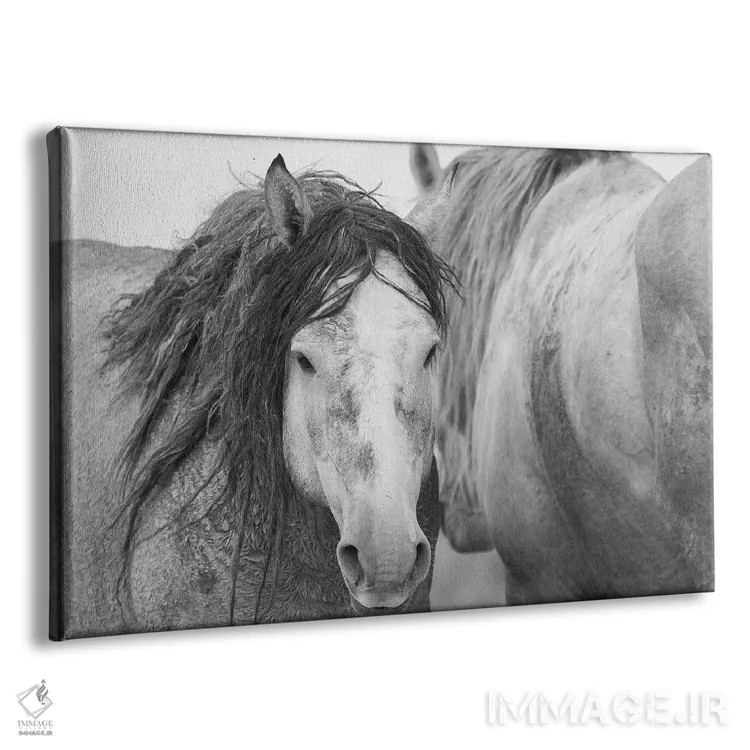 تابلو اسبهای نر موستانگ وحشی اثر کن آرچر - نمای پرسپکتیو محصول