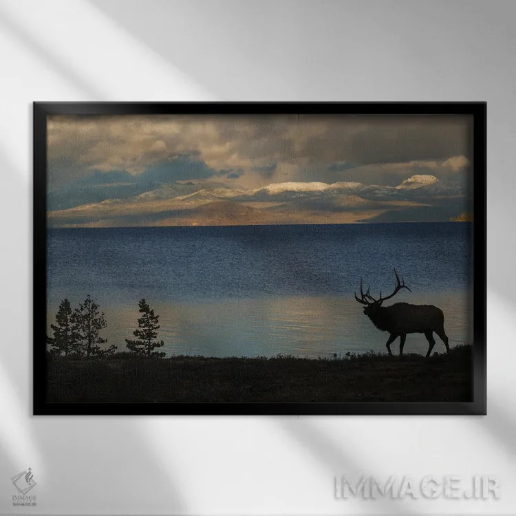 تابلو Wyoming, USA,سیلوئت گوزن نر در یلواستون، وایومینگ، آمریکا اثر کن آرچر - نمای قابدار مشکی