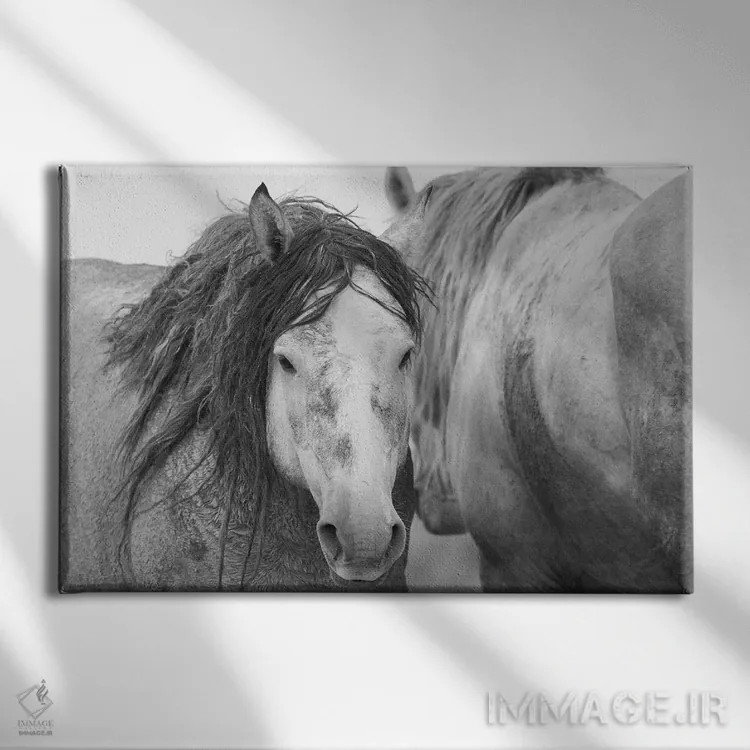 تابلو اسبهای نر موستانگ وحشی اثر کن آرچر - نمای روبهرو روی دیوار