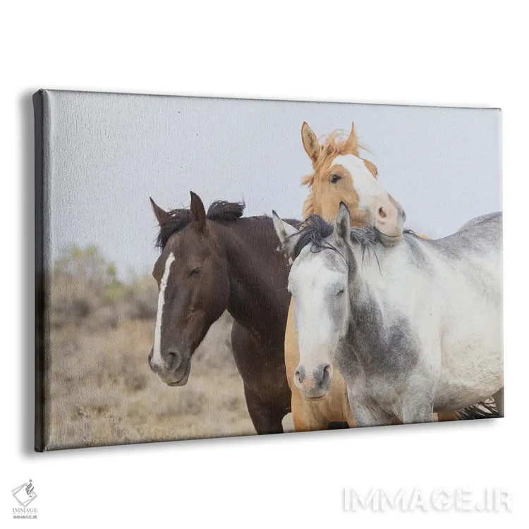 تابلو موستانگهای وحشی در حال استراحت اثر کن آرچر - نمای پرسپکتیو محصول