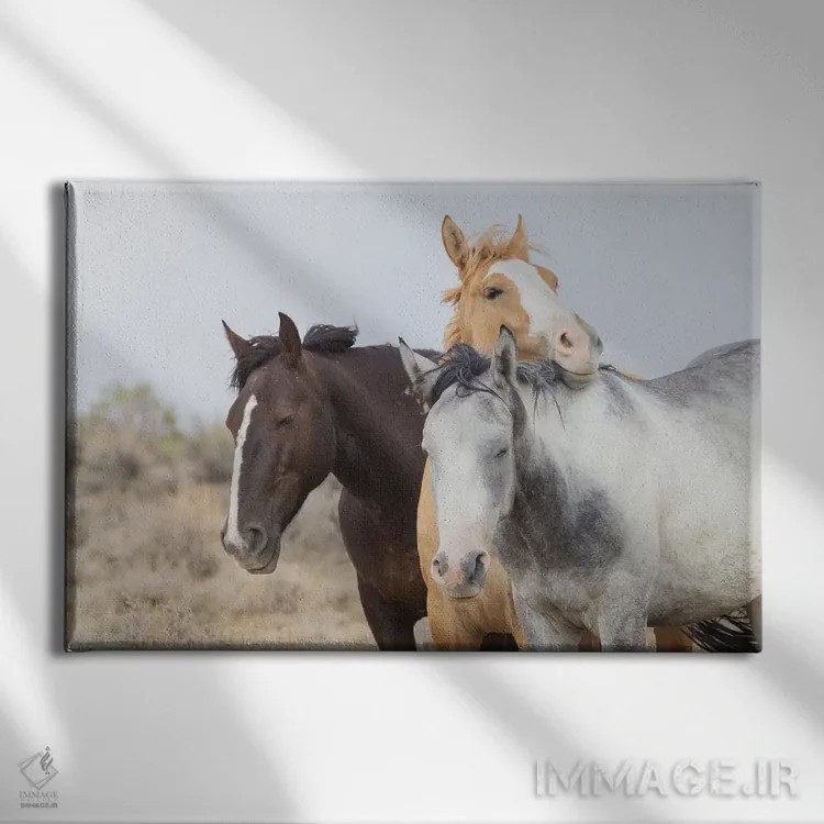 تابلو موستانگهای وحشی در حال استراحت اثر کن آرچر - نمای روبهرو روی دیوار