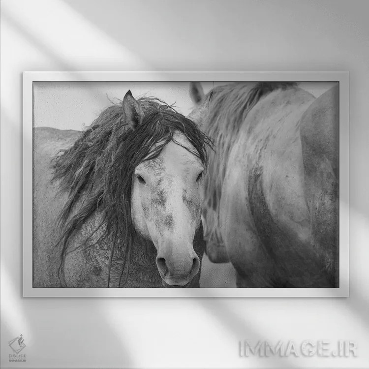 تابلو اسبهای نر موستانگ وحشی اثر کن آرچر - نمای قابدار سفید