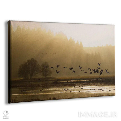 تابلو غازهای کوچک کانادا در حال پرواز سحرگاهی اثر کن آرچر - نمای پرسپکتیو محصول