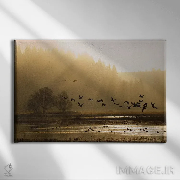 تابلو غازهای کوچک کانادا در حال پرواز سحرگاهی اثر کن آرچر - نمای روبهرو روی دیوار