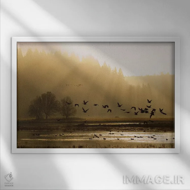 تابلو غازهای کوچک کانادا در حال پرواز سحرگاهی اثر کن آرچر - نمای قابدار سفید