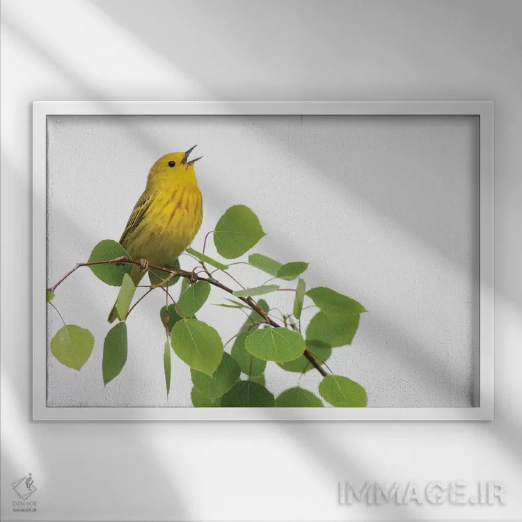 تابلو چکچک زرد در حال آواز اثر کن آرچر - نمای قابدار سفید