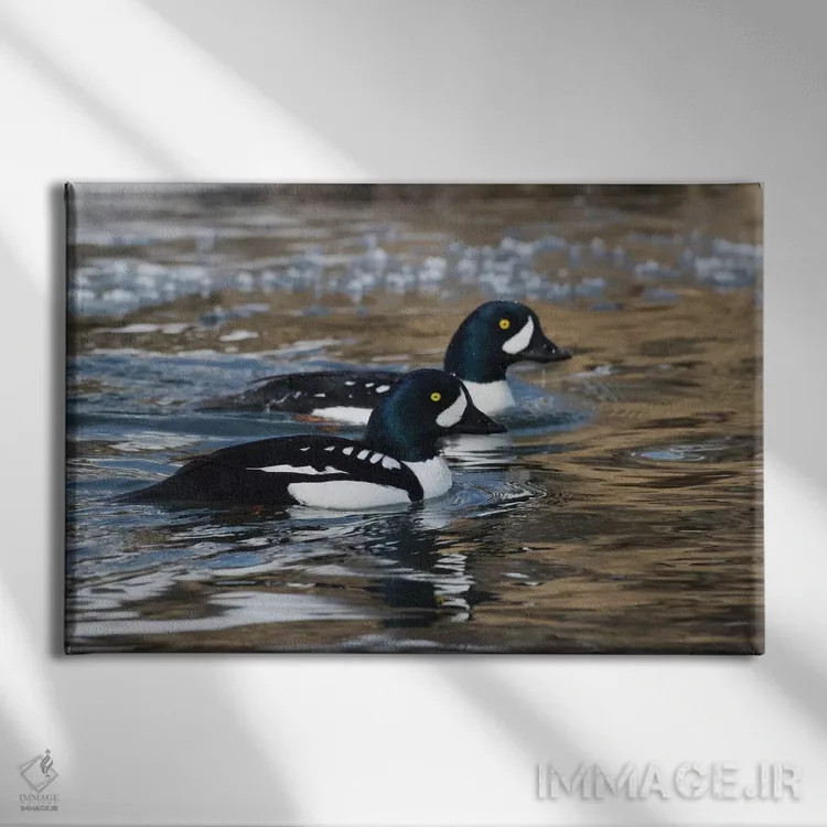 تابلو اردک طلایی باروز در رودخانه یخزده اثر کن آرچر - نمای روبهرو روی دیوار