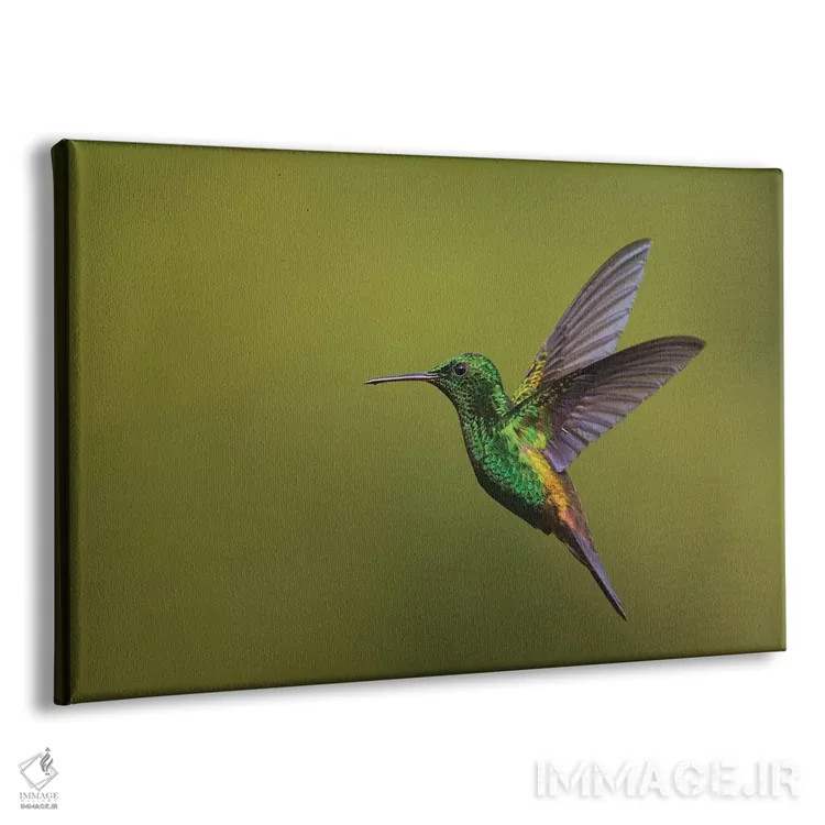 تابلو مرغ مگسخوار دممسی اثر کن آرچر - نمای پرسپکتیو محصول