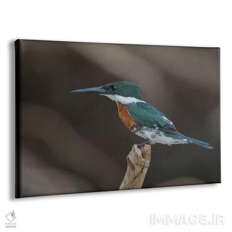 تابلو مرغ ماهیخوار سبز اثر کن آرچر - نمای پرسپکتیو محصول