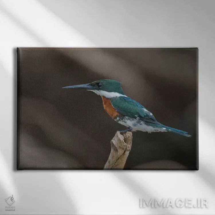 تابلو مرغ ماهیخوار سبز اثر کن آرچر - نمای روبهرو روی دیوار