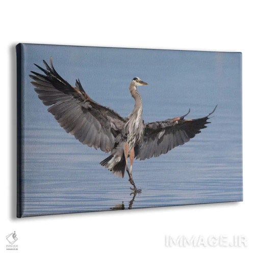 تابلو گرث حواصیل آبی بزرگ در حال فرود اثر کن آرچر - نمای پرسپکتیو محصول