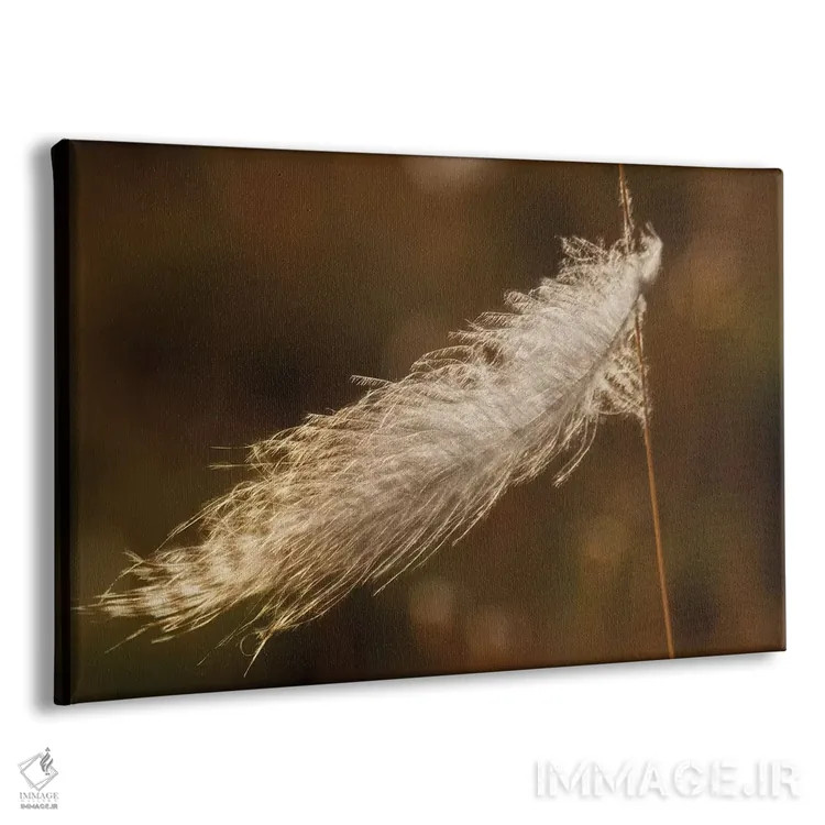 تابلو stuck on grass stem,پر قلمقرقاول گیر کرده روی ساقه علف اثر کن آرچر - نمای پرسپکتیو محصول