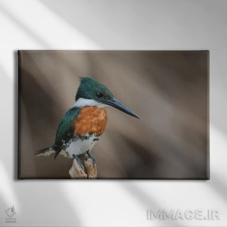 تابلو مرغ ماهیخوار سبز اثر کن آرچر - نمای روبهرو روی دیوار