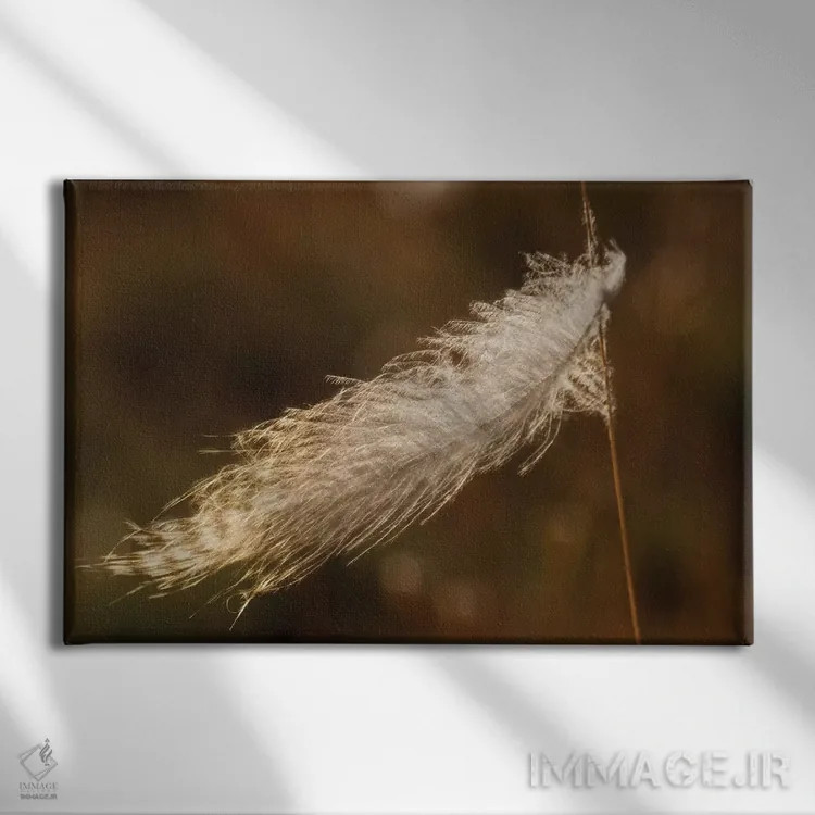 تابلو stuck on grass stem,پر قلمقرقاول گیر کرده روی ساقه علف اثر کن آرچر - نمای روبهرو روی دیوار