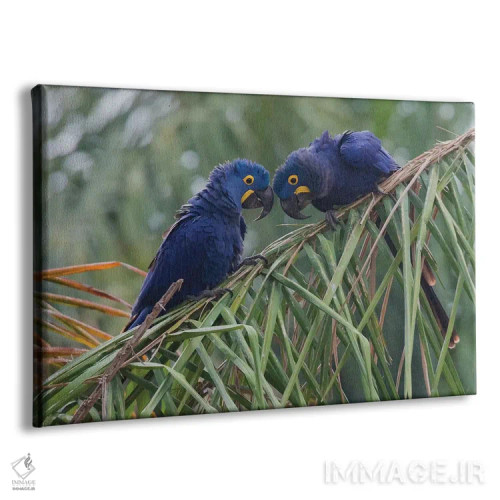 تابلو جفت ماکائوی سنبل اثر کن آرچر - نمای پرسپکتیو محصول