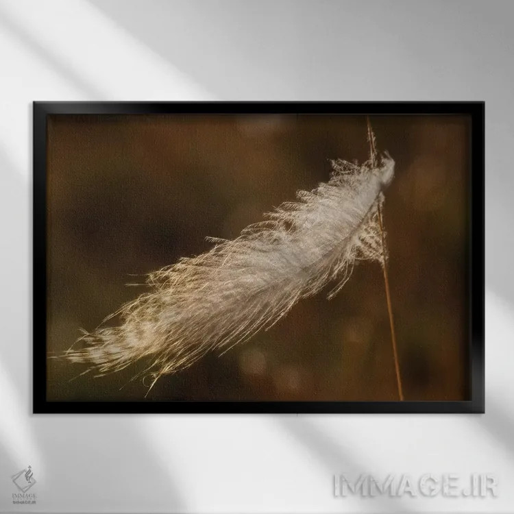 تابلو stuck on grass stem,پر قلمقرقاول گیر کرده روی ساقه علف اثر کن آرچر - نمای قابدار مشکی