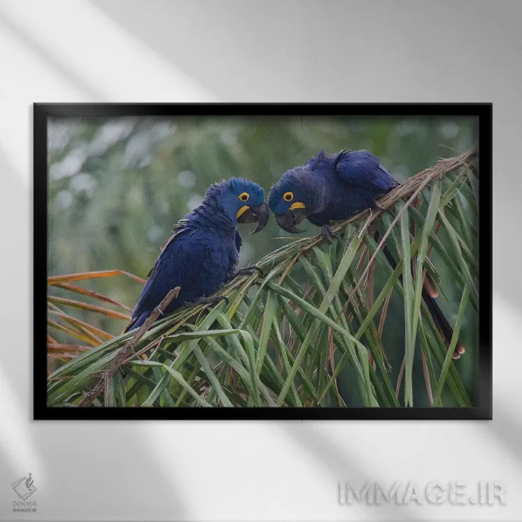 تابلو جفت ماکائوی سنبل اثر کن آرچر - نمای قابدار مشکی