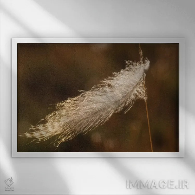 تابلو stuck on grass stem,پر قلمقرقاول گیر کرده روی ساقه علف اثر کن آرچر - نمای قابدار سفید