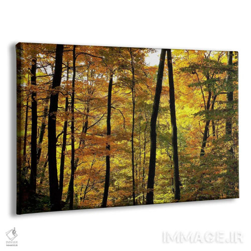 تابلو رنگهای پاییزی اثر چاک بردیک - نمای پرسپکتیو محصول